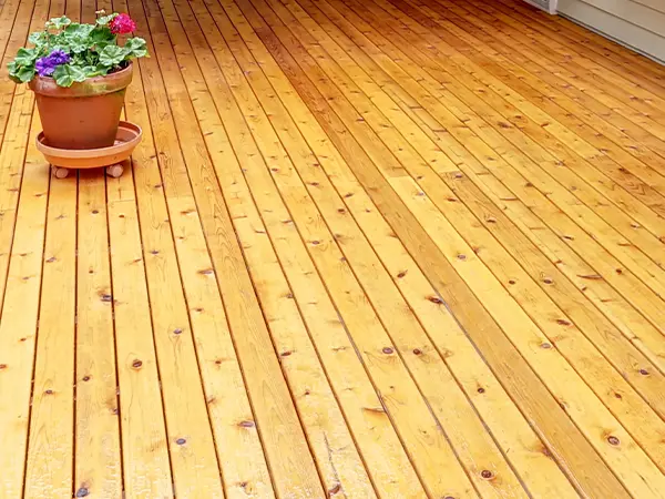 Cedar decking with potted plant