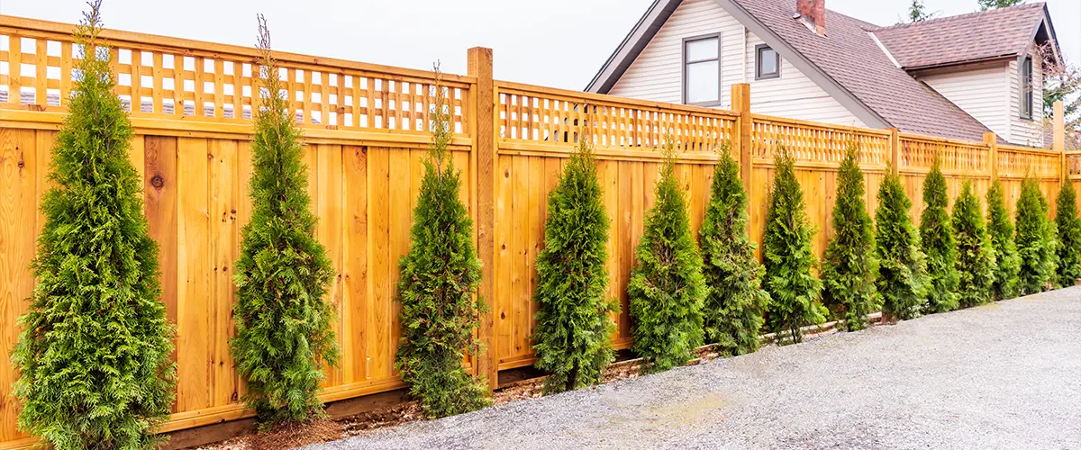 A cedar fence with small arbors