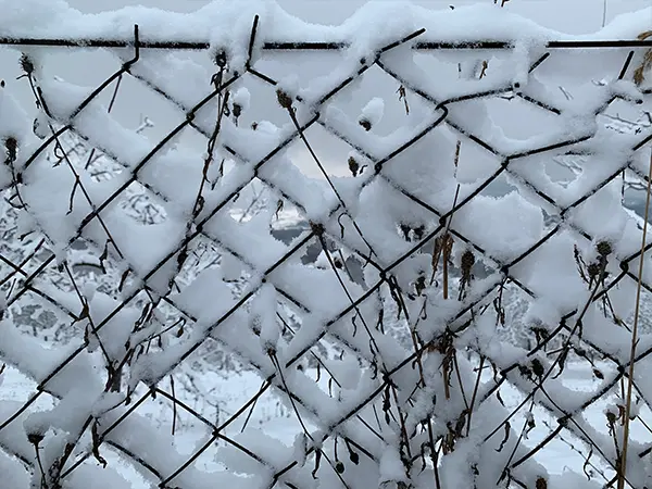 A chain link covered in snow