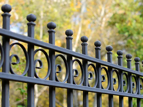 Wrought iron fence with beautiful design