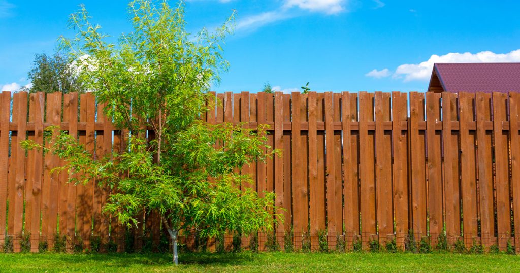 Cedar Fence vs Pressure Treated Fence: Which is Best for Your Home?