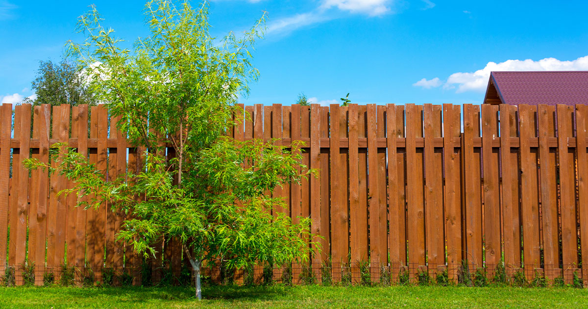 Cedar Fence vs Pressure Treated Fence: Which is Best for Your Home?