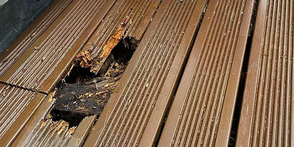 rotten deck replacement