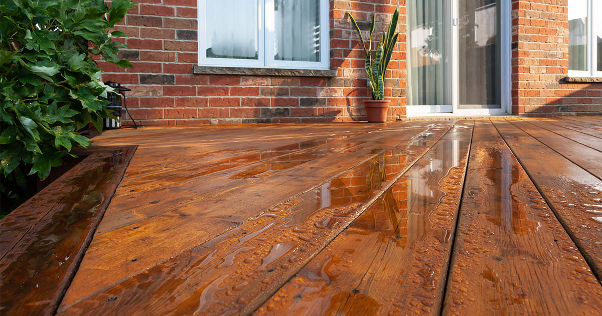 Backyard wet wooden deck floor boards with fresh brown stain