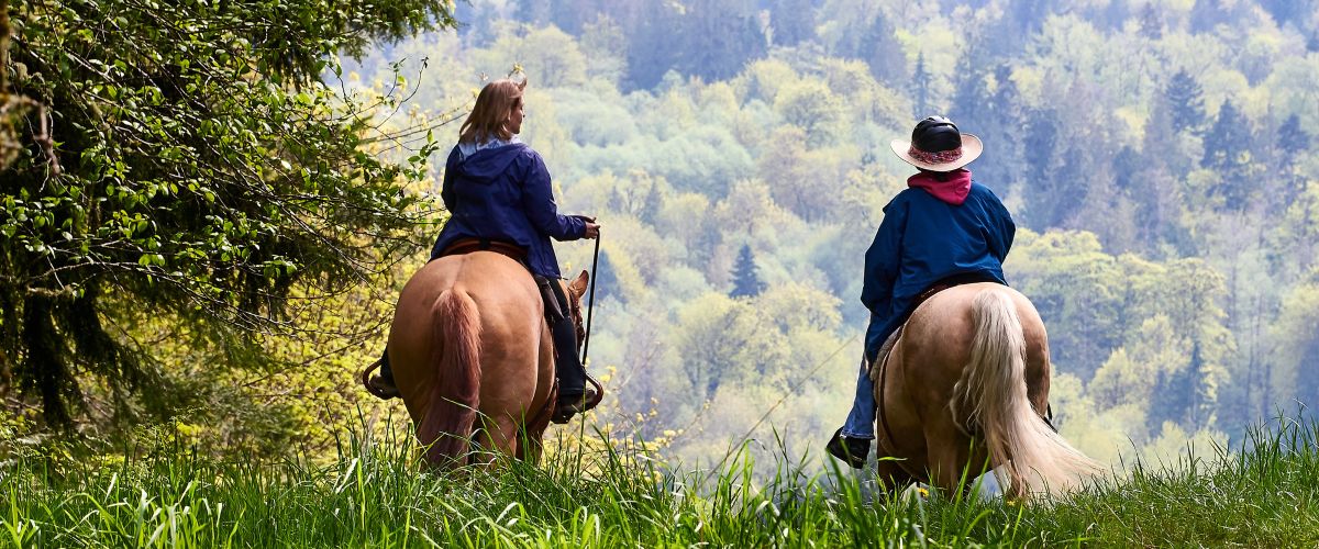 Lord Hill Regional Park: Outdoor Adventures in Snohomish